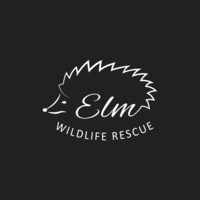 ELM Wildlife